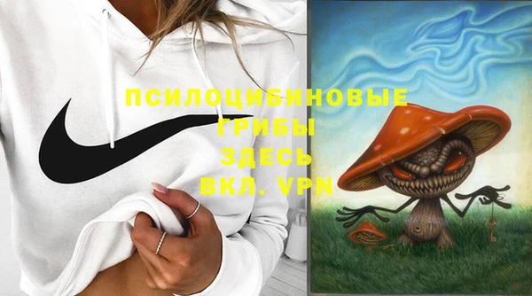дурь Заволжск