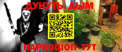 PSILOCYBIN Кандалакша