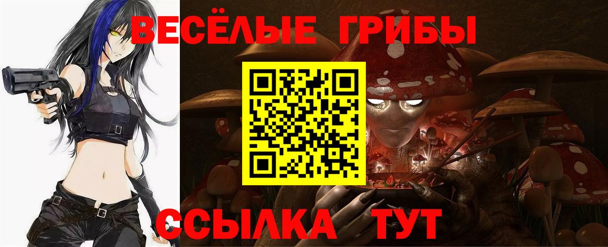Псилоцибиновые грибы GOLDEN TEACHER  Елец  даркнет сайт  Галлюциногенные грибы мухоморы 